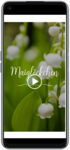 Maiglöckchensinfonie Video Eau de Parfuem mit aetherischen Oelen, Leichtigkeit des Frühlings, handgefertigt von Seelenduft