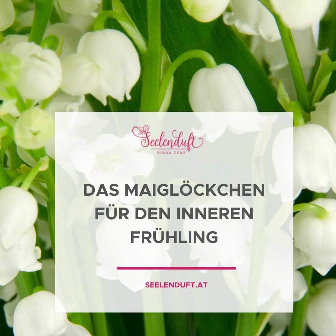 Überfließende-Fülle-Reichtum-Wohlstand