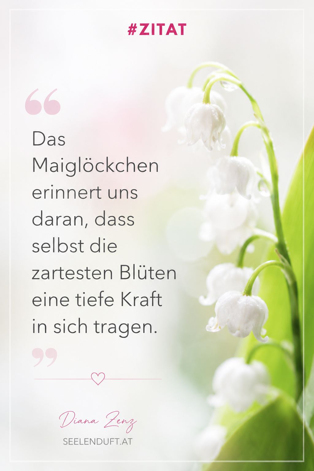 Fülle-Reichtum-Wohlstand-Parfum